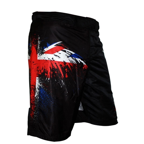 1 MMA Shorts - Image 1